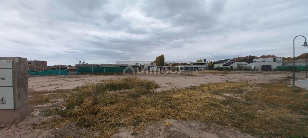 6338667_69442720310732176142700567042124032092969277828685661184349006712138343696269