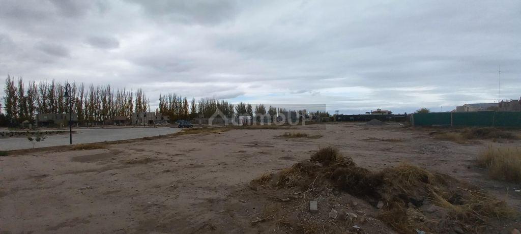 6338667_92572536596583563035431283915863081852322415687575191450955669835003314761490