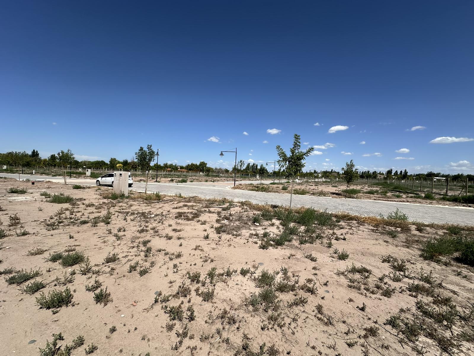 7626978_72151441598570545331813957081358193648531940488964184073939188284381177156300