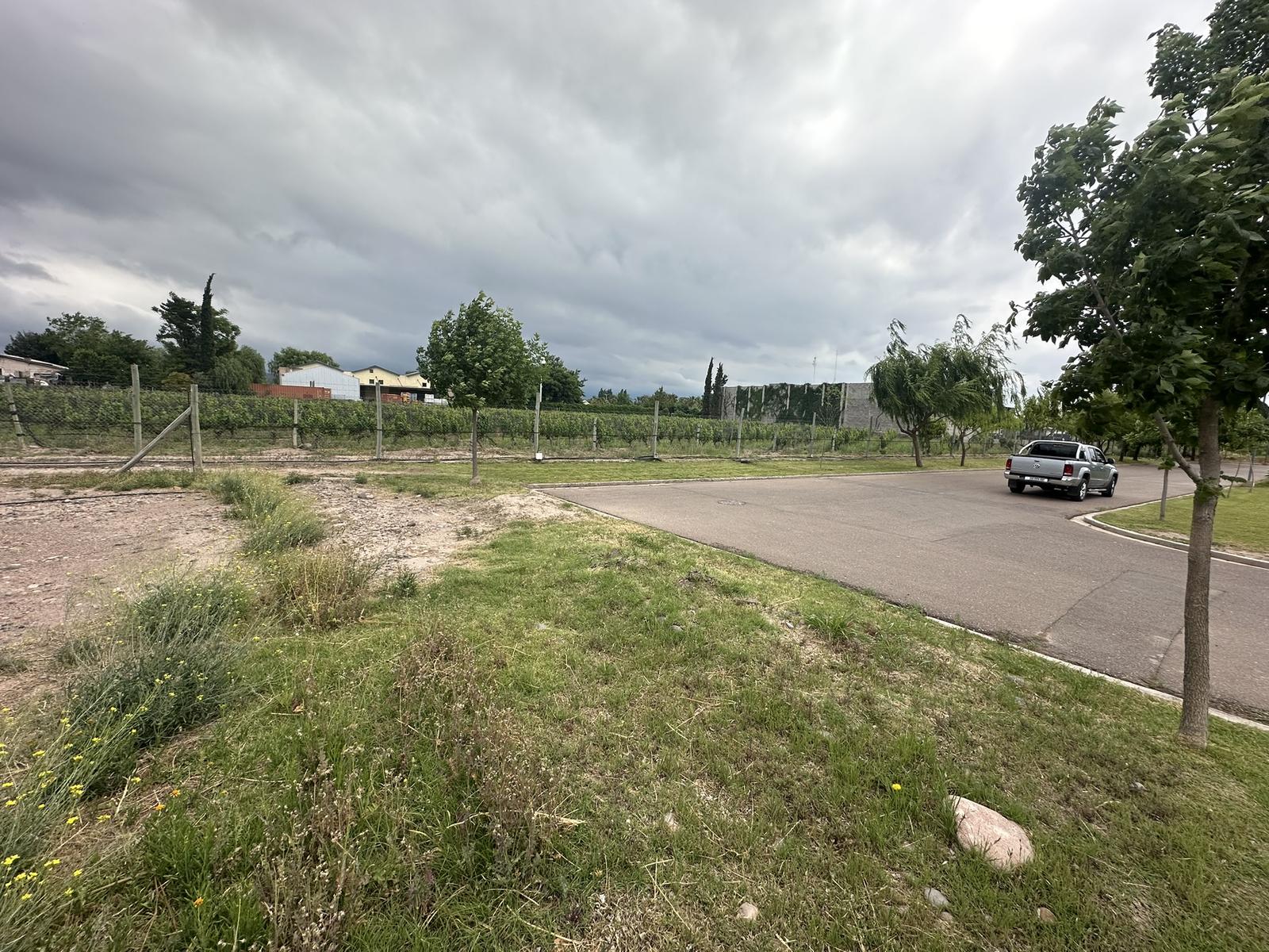 7627770_10173450966007921404687606398385036518522912142888056417022904123790146845397