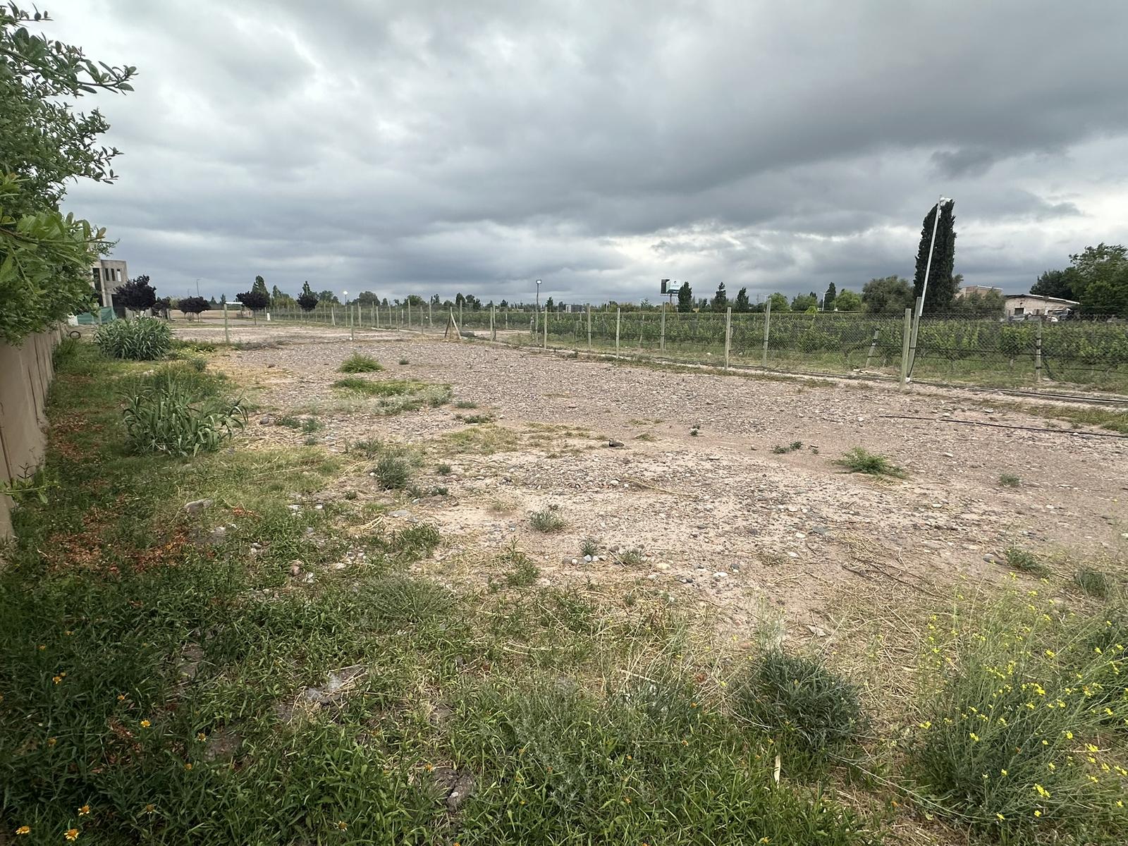 7627770_113654254398526828184321152451915965403225607941872974621885397081933487447044