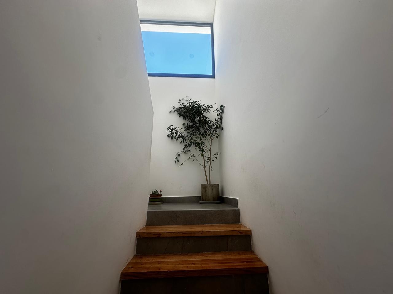 7873551_108735752163810156941164876709441821448879602696893435180018796702453790130733