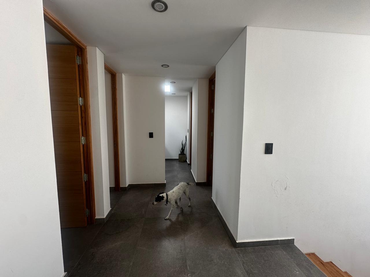 7873551_67537903152852519058786199016938683791049487528748214328903894487233173115701