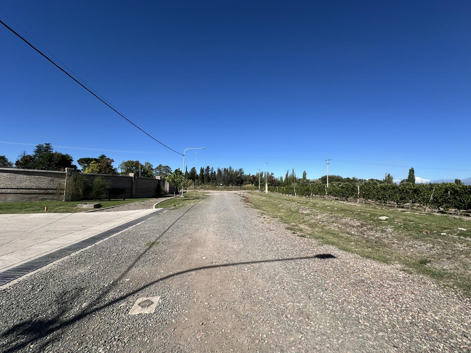 7898444_114256194049773243807750027081192390593954076910614275961733974125951178690481