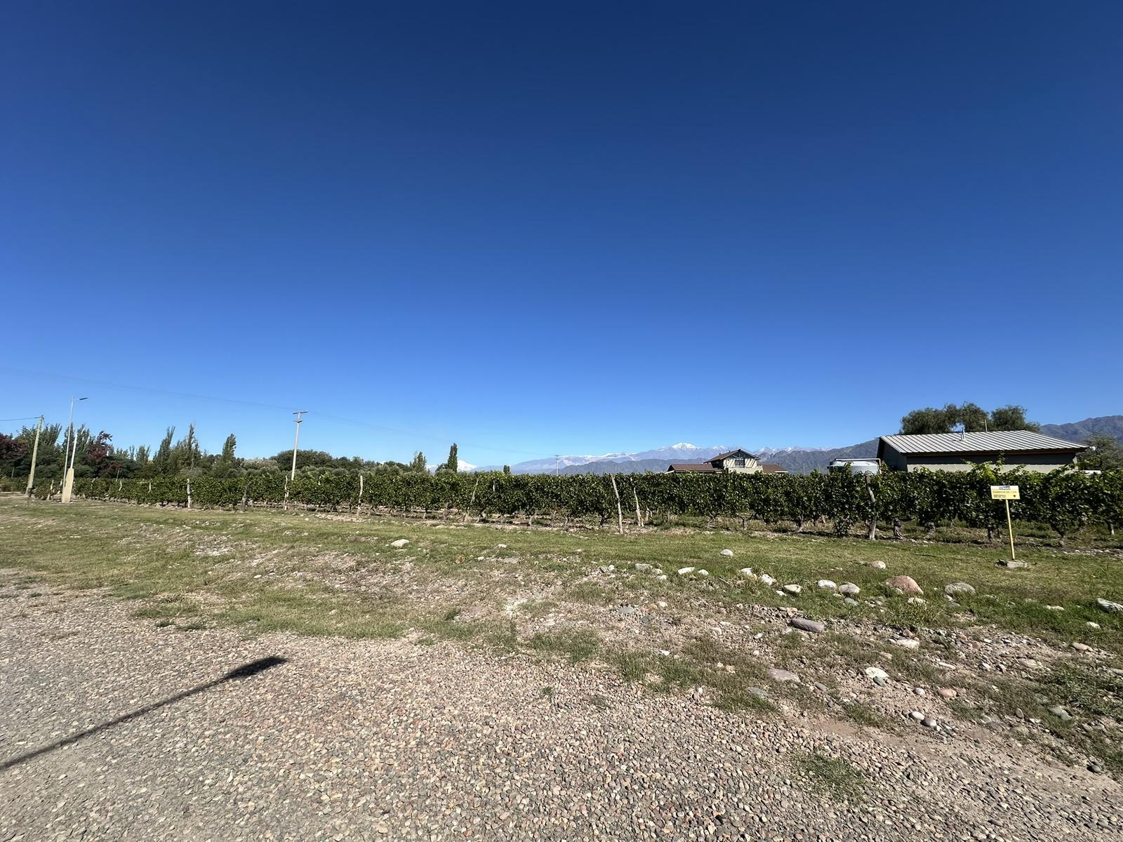 7898444_33208663766647568523914034535974998048608760484793812779588192188691131672852